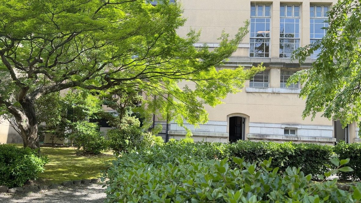 新緑の枝越しに見る旧本館の外壁と窓