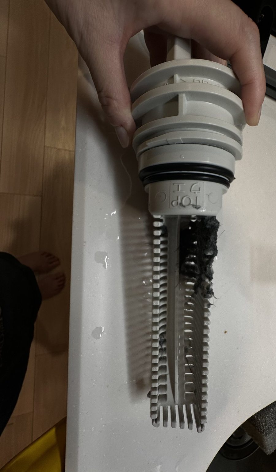 洗濯機から抜き出した排水フィルター。櫛状のフィンの片側が黒く詰まっている